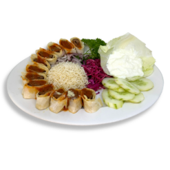 ADANA SHISH KEBAB SPECIAL PLATE